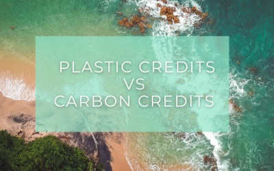 Plastic Credits vs Carbon Credits: A Clear Path to Environmental Impact