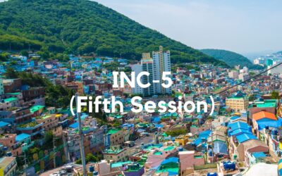 Everything You Need to Know About INC-5 and the Global Plastic Pollution Treaty