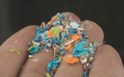 Microplastics and Human Health: The Invisible Threat Inside Us All