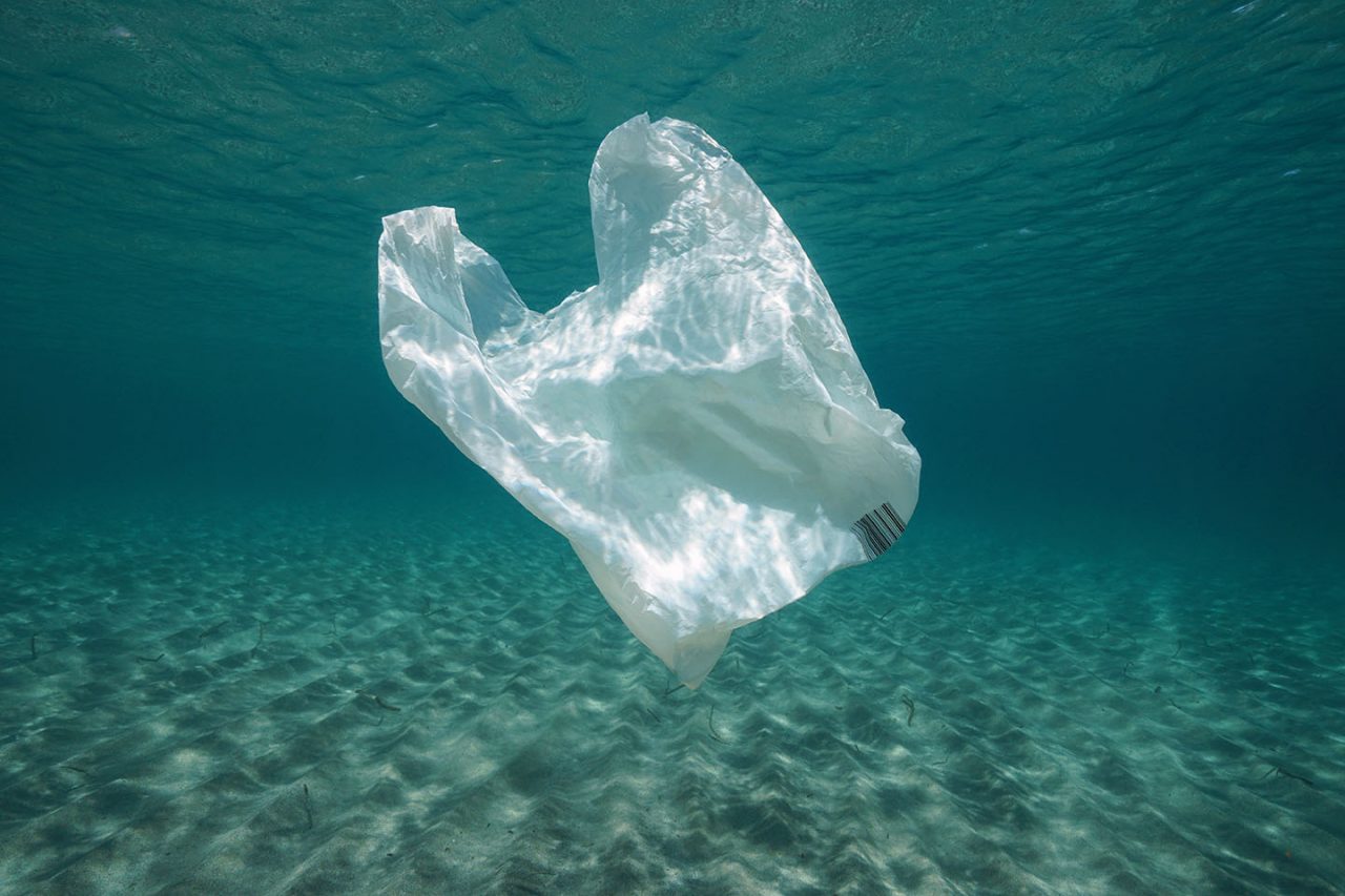 What Is The Great Pacific Garbage Patch? - Plastic Collective